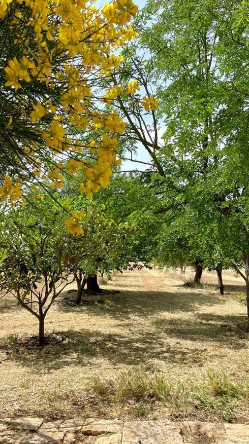 Masseria Elefante Turi Bagian luar foto