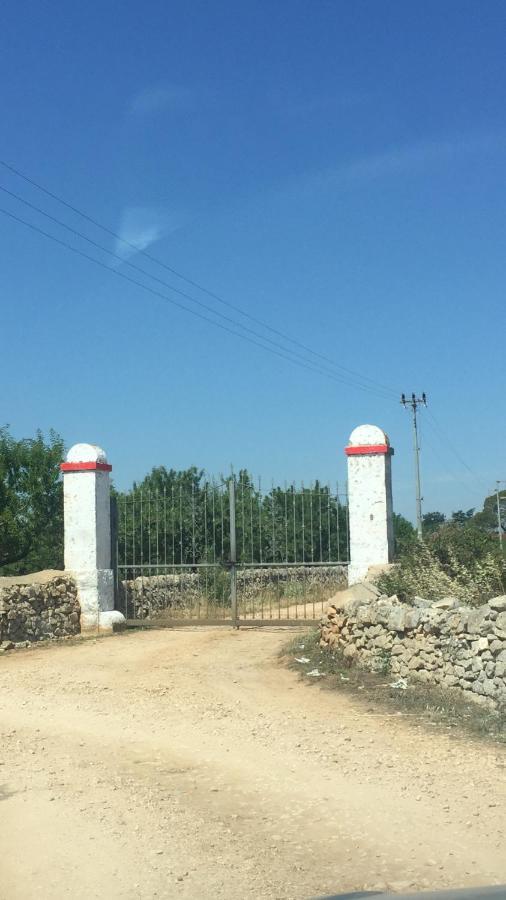 Masseria Elefante Turi Bagian luar foto